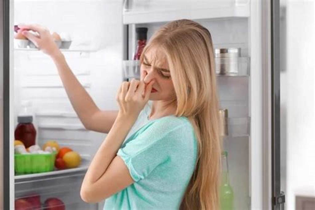 Tại sao tủ lạnh lại có mùi hôi?